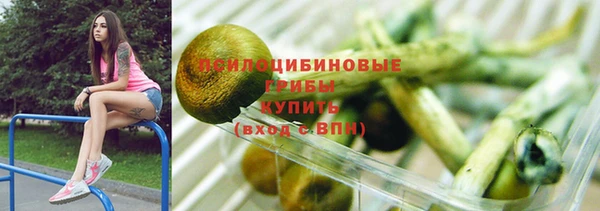 прущий лед Аркадак