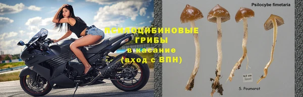 прущий лед Аркадак