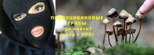 мяу мяу мука Армянск
